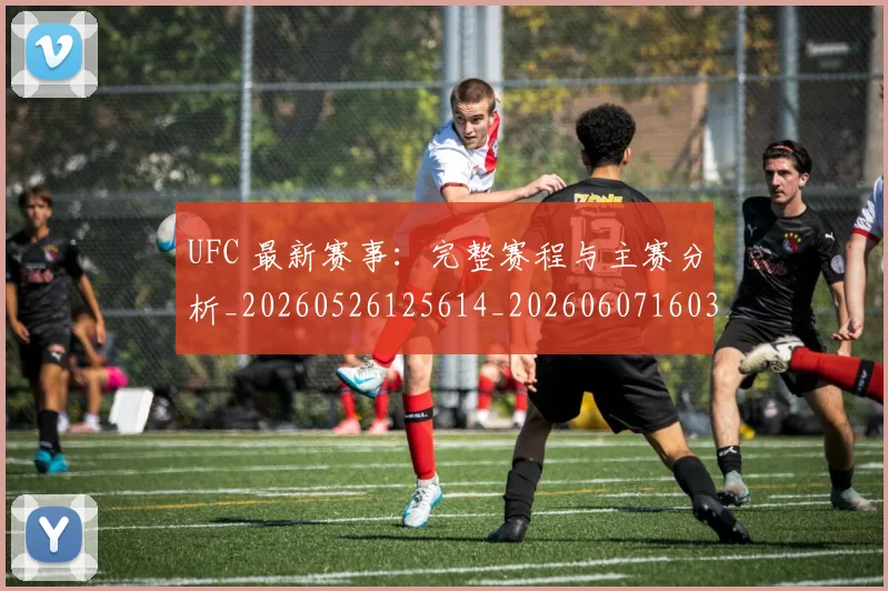 UFC 最新赛事：完整赛程与主赛分析_20260526125614_20260607160301