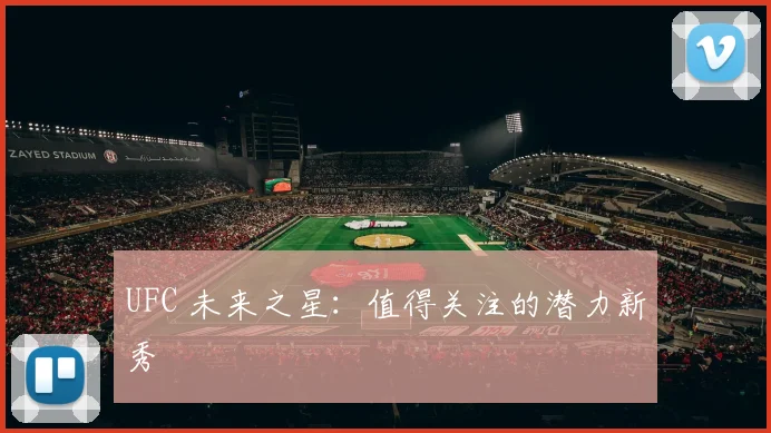 UFC 未来之星：值得关注的潜力新秀